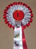Christmas rosettes, Christmas rosette